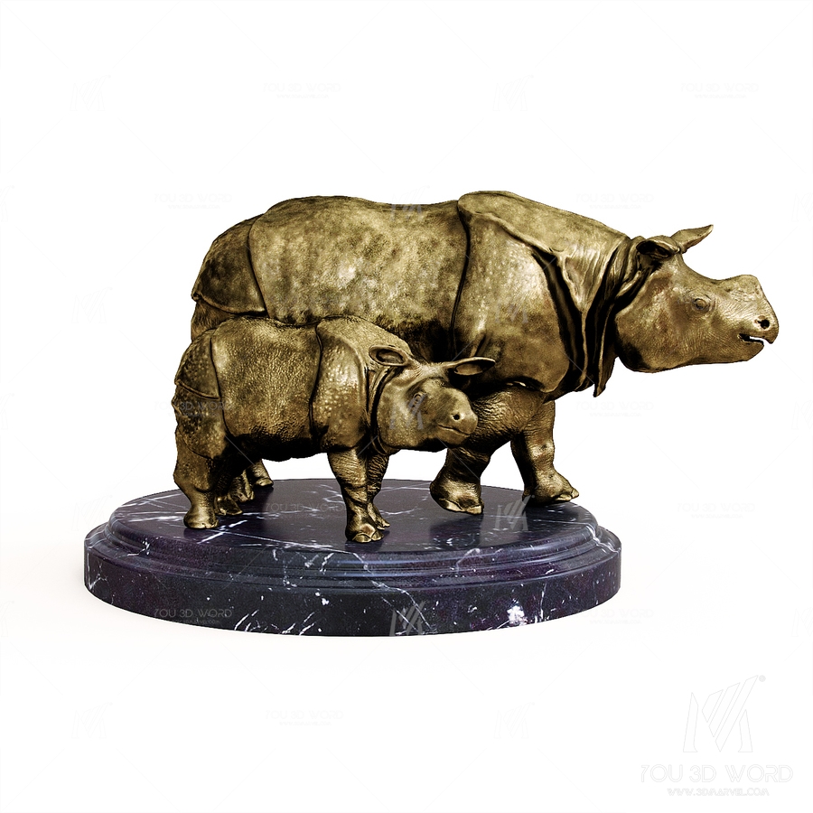 Rhinoceroses